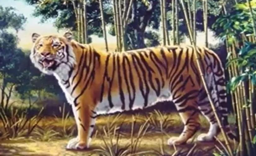 Iluzie optică virală. Poți să găsești al doilea tigru din imagine? Doar 1% din oameni reușesc