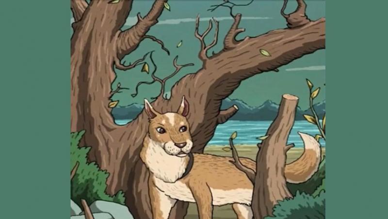 O imagine cu un câine într-o pădure s-a transformat într-o iluzie optică de senzație