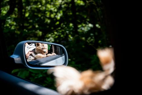 De ce obiectele din oglinda retrovizoare par a fi mai departe decât sunt de fapt. Care e explicația specialiștilor
