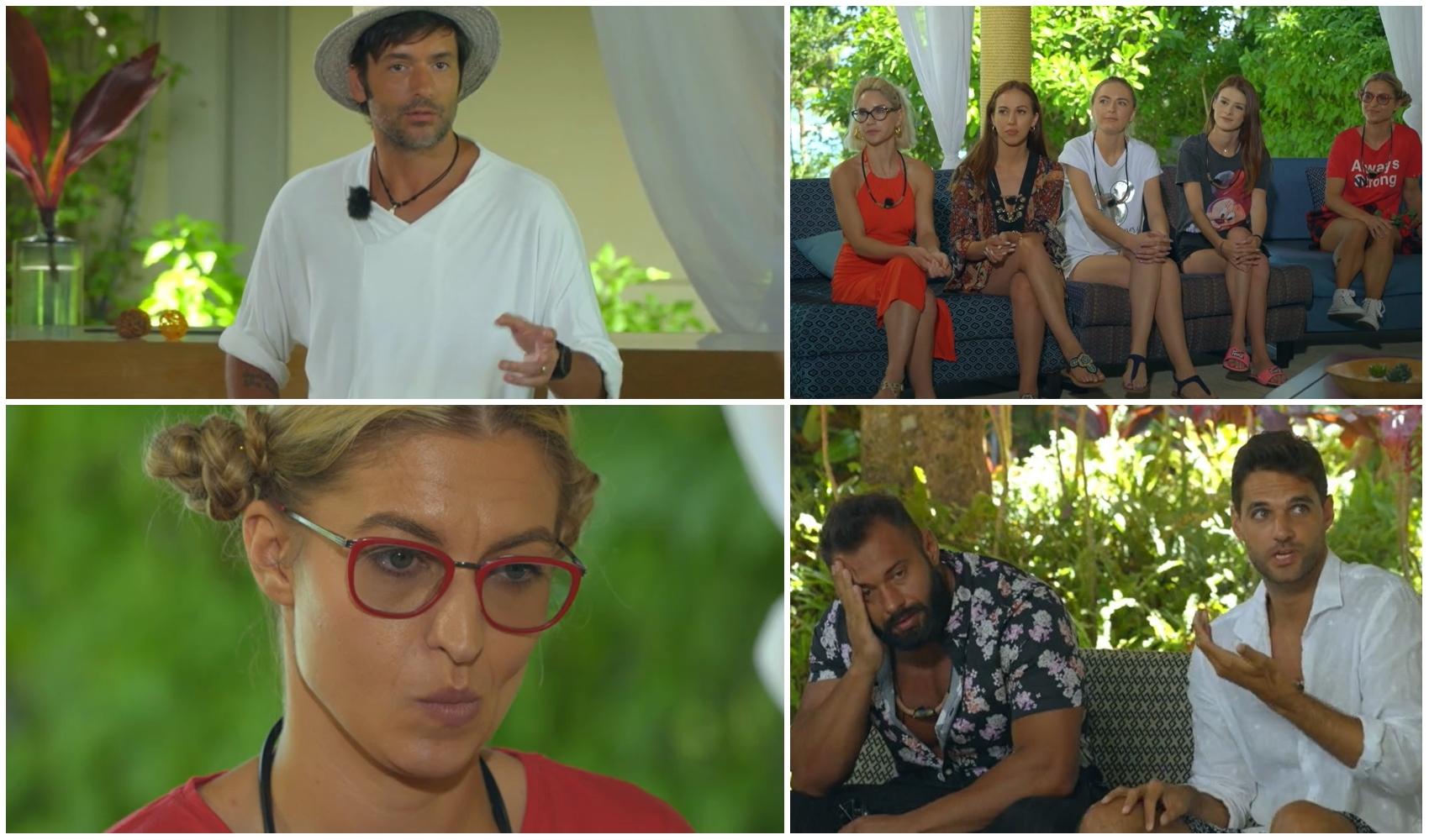 colaj foto cu cerasela și radu vâlcan