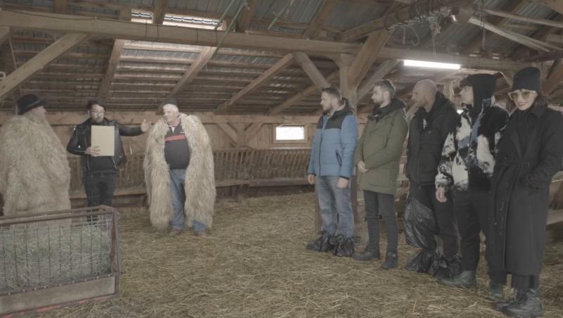 România are Roast, sezonul 1. Cum s-au descurcat Marmotele vesele la mulsul oilor. Cine a salvat echipa: „Io-s ăla țăran”