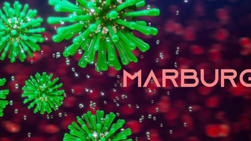 Ce este virusul Marburg, care face ravagii în Ghana. Care sunt simptomele virusului ce se transmite de la liliecii de fructe