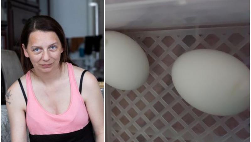 La câteva zile după ce a cumpărat cele șase ouă, ceva neașteptat s-a întâmplat