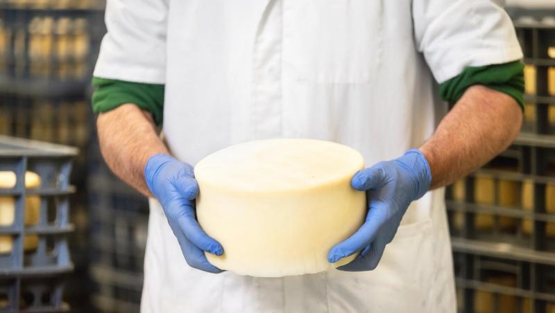 Descoperă de ce brânza sau cașcavalul au preponderent formă rotundă