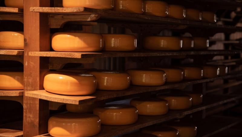 De ce brânza și cașcavalul se vând în bucăți rotunde, de fapt. Explicația la care nu te-ai fi gândit niciodată