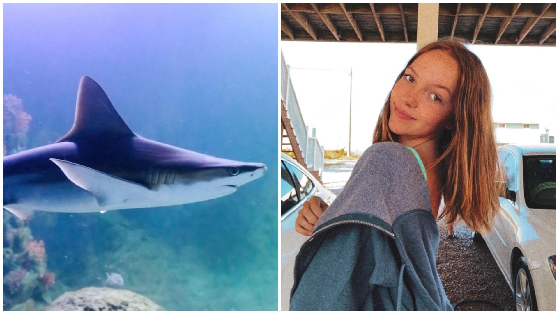 Mărturiile unei tinere de 17 ani, care a supraviețuit atacului unui rechin. Cum a reușit să scape cu viață