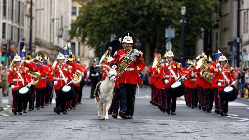 De ce o capră s-a aflat în fruntea paradei militare dedicate Reginei Elisabeta. Care este motivul