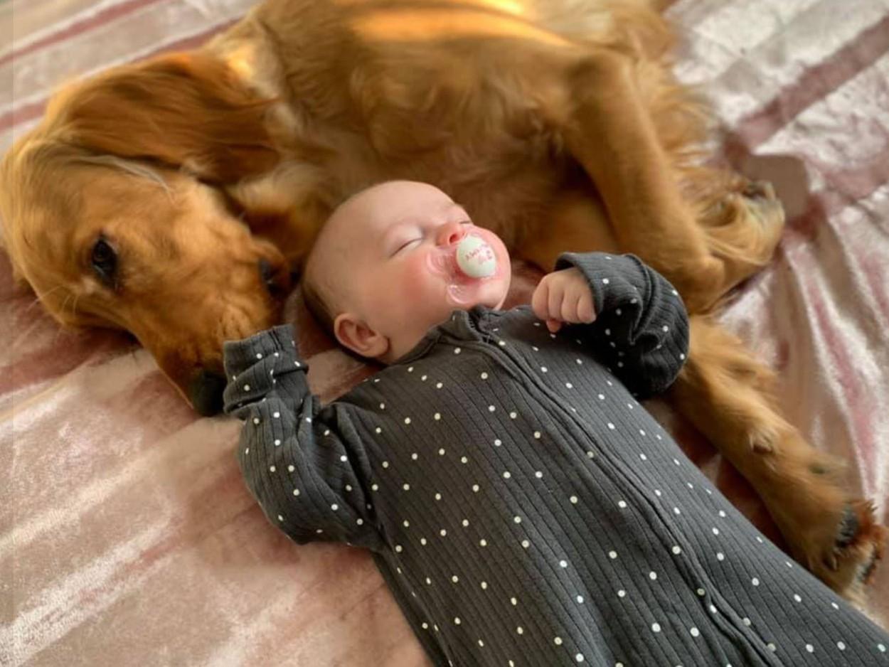 O mamă a stârnit reacția internauților după ce și-a postat bebelușul și câinele pe internet. Imaginile au devenit virale