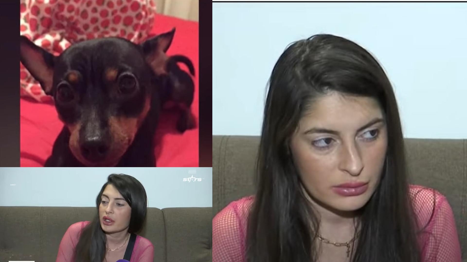Gabriela Cîrstoiu povestește cum a fost omorât câinele ei