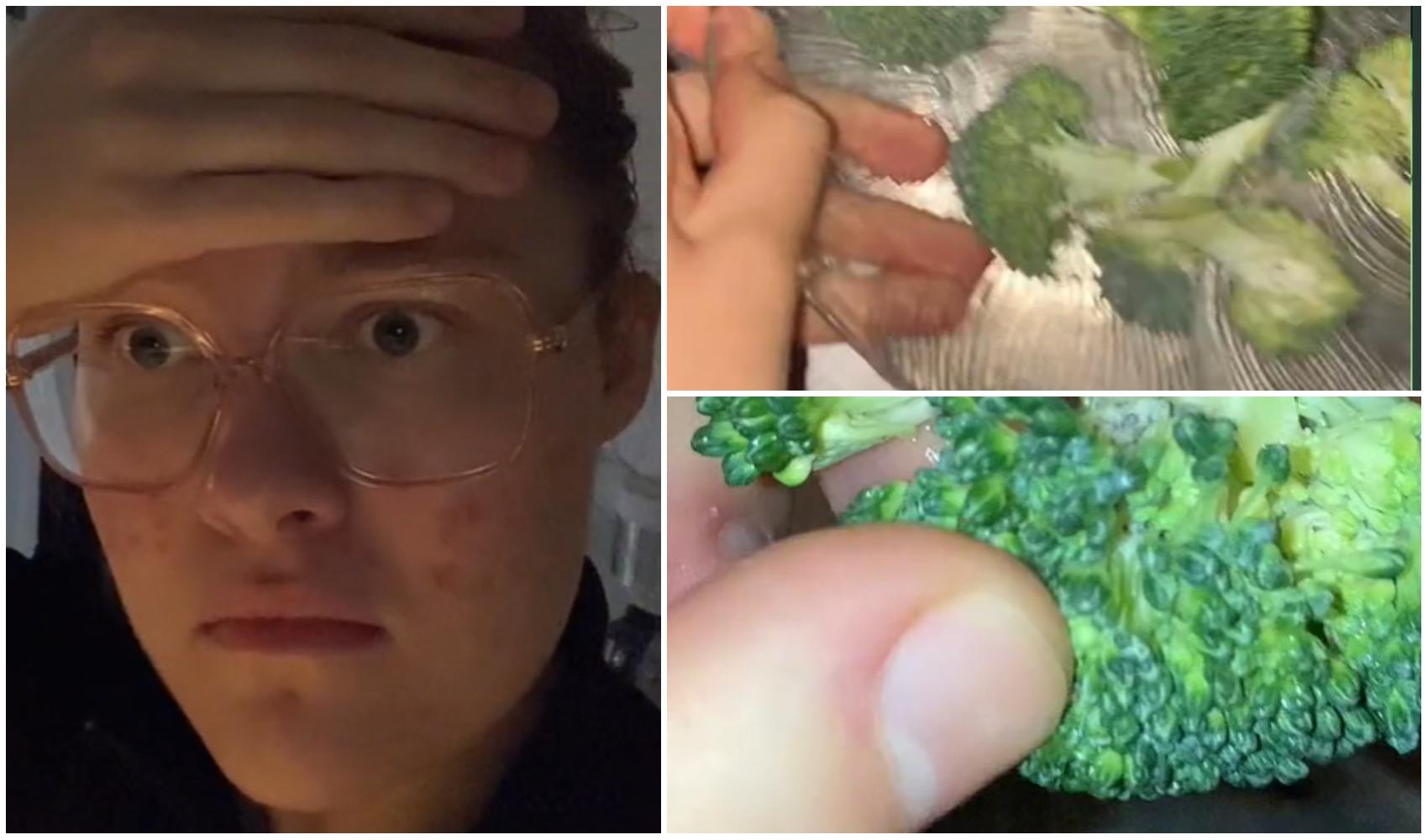 Ce a putut să descopere o tânără într-o bucată de broccoli! A filmat totul și a arătat dovada. Ce se vede în imagini