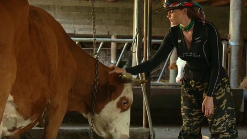 Poftiți pe la noi: Poftiți la târg, 9 ianuarie 2023. Iulia Albu, peripeții la mulsul vacii. Cum s-a descurcat la munca din grajd
