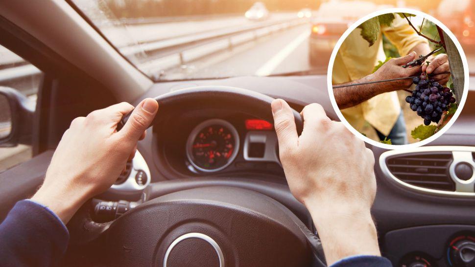De ce nu este indicat să bei must înainte de a te urca la volan, dar și dacă ai alte probleme de sănătate