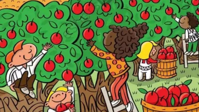 Numai cei cu inteligență peste medie pot găsi șase cuvinte ascunse în livada cu mere.