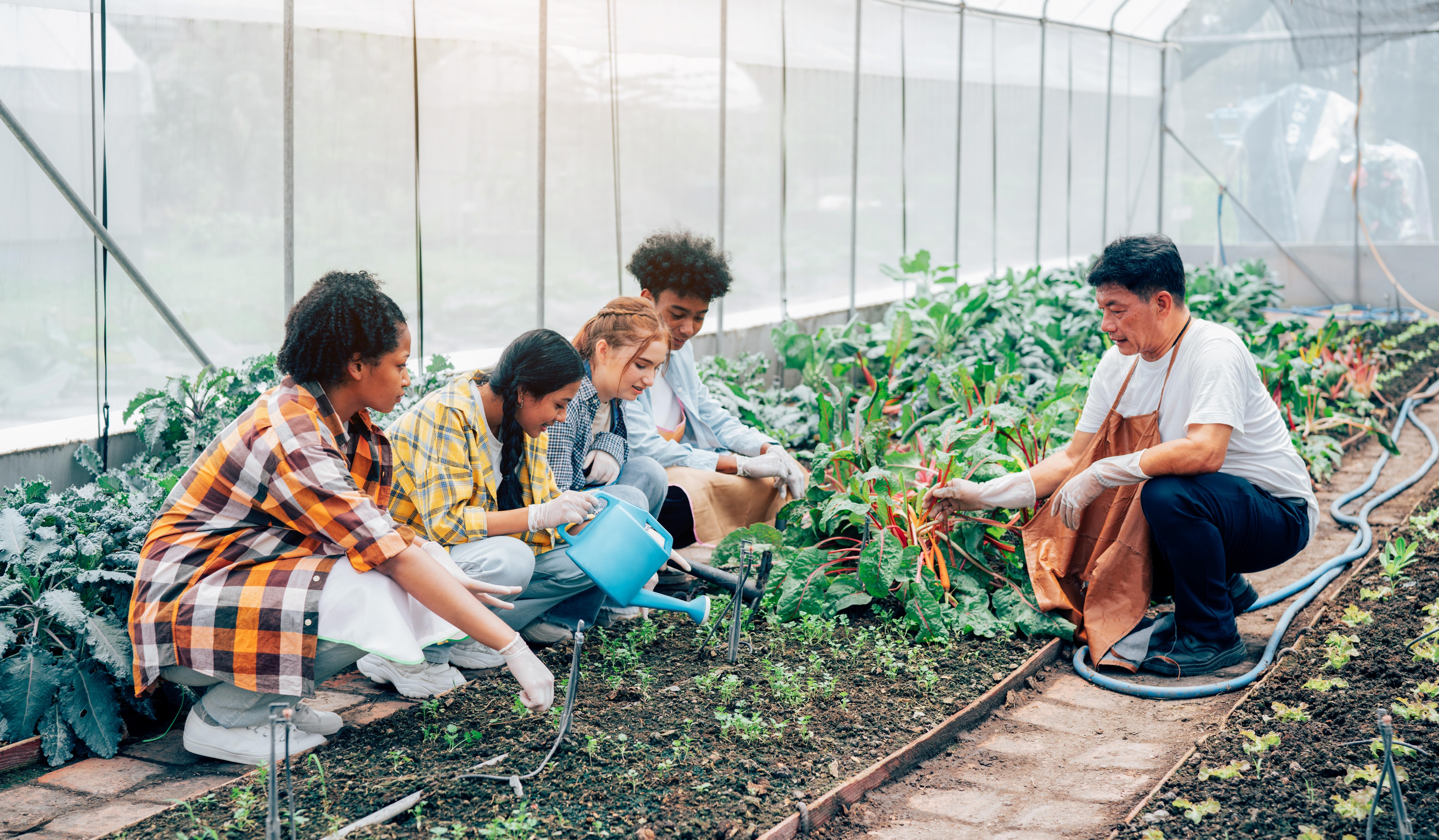 Imagine cu elevi care practică activități de grădinărit