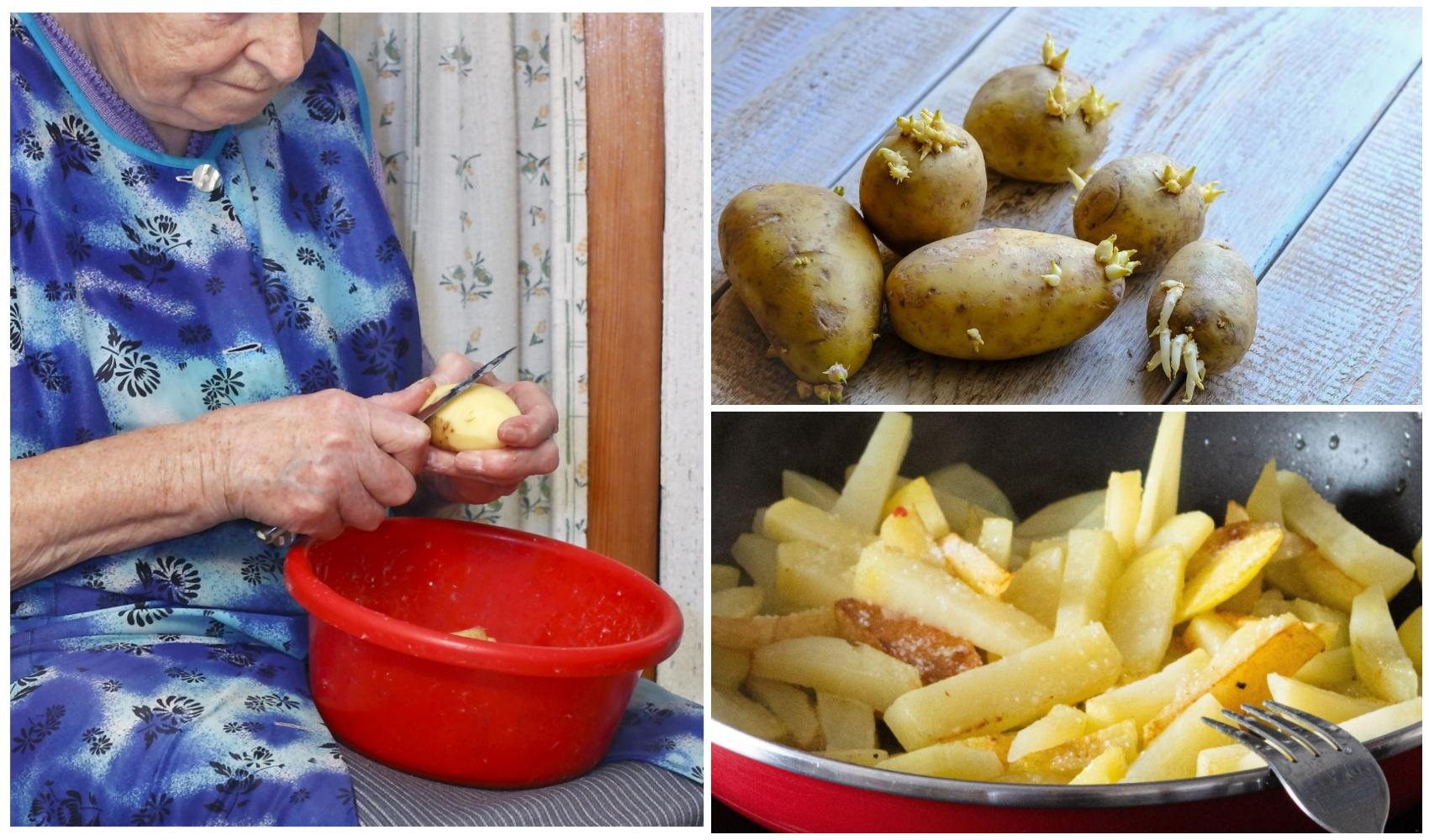 Ce se întâmplă dacă mănânci cartofi încolțiți și ce efecte pot apărea. Ce trebuie să faci dacă ai astfel de tuberculi