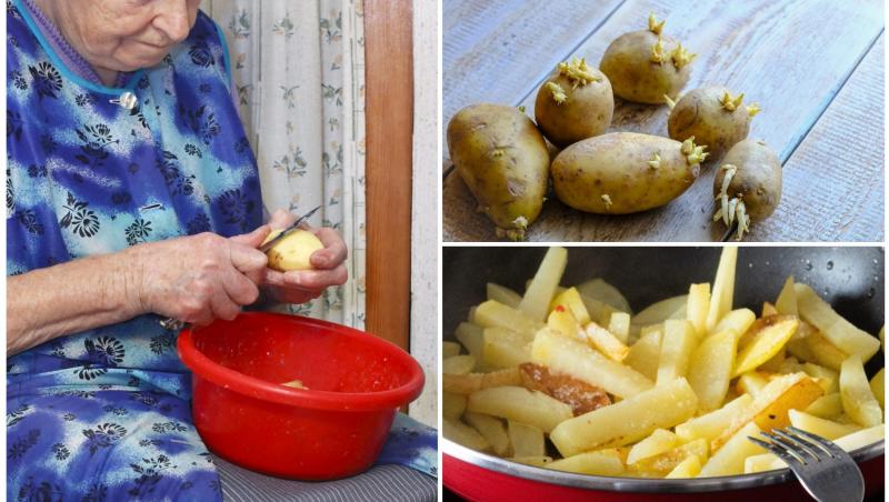 colaj foto cu o femeie care curata cartofi si poze cu cartofi incoltiti si cartofi prajiti