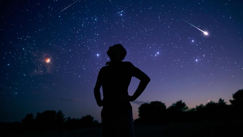 bărbat care privește spre cer într-o nopate înstelată și cu ploaie de meteori