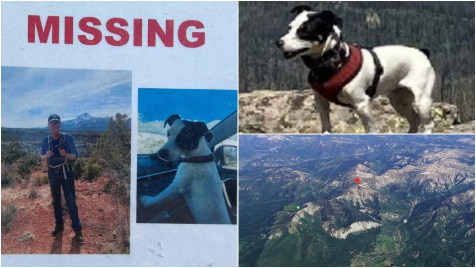 Un om care a dispărut în luna august alături de câinele său a fost descoperit fără suflare. Ce făcea câinele în acel moment