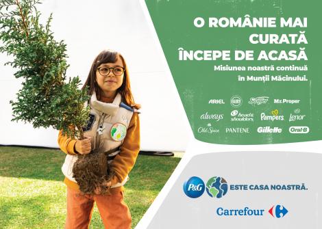 (P) 600 de puieți de gorun plantați de voluntarii P&G și Carrefour România în Munții Măcinului
