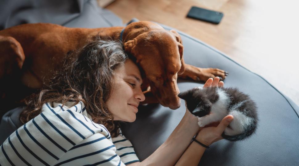 Imagine cu o femeie, un cățel și o pisică.