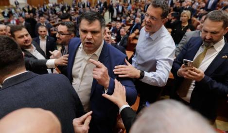 Daniel Ghiță, fost luptător K1, a sărit la bătaie în Parlament. Ce s-a întâmplat și cine l-a provocat să reacționeze
