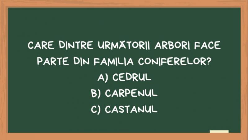 Întrebarea de școală generală la care un adult nu reușește să răspundă în 20 de secunde. Care e răspunsul corect
