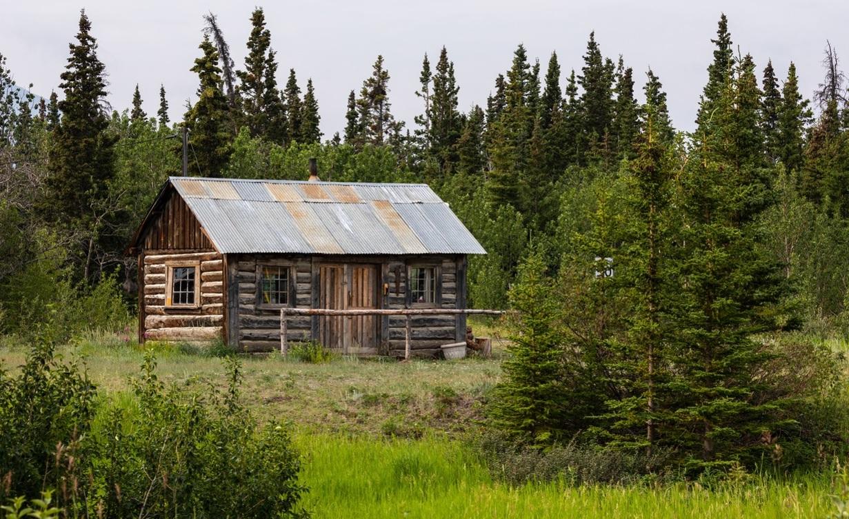 imagine cu o cabana de lemn intr-o padure unde se afla capul unui urs