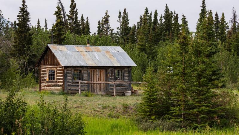 imagine cu o cabana de lemn intr-o padure unde se afla capul unui urs