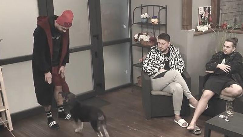 Mireasa sezon 7. Dima l-a rugat pe Andrei să-i spele ”cât poate de bine” o cană din care a dat apă câinelui
