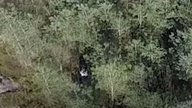 O dronă a surprins imagini cu ceea ce pare a fi fantoma unei fetițe cu ochii negri. Aparatul a filmat o imagine neobișnuită într-o pădure, după ce mai multe persoane ar fi zărit acolo o fantomă.