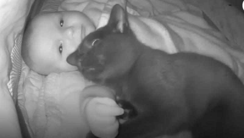 O mamă a verificat camera video din dormitorul bebelușului și a observat că acesta nu era singur. Ce era lângă copil