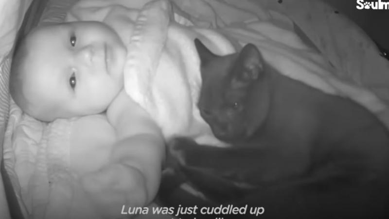 O mamă a verificat camera video din dormitorul bebelușului și a observat că acesta nu era singur. Ce era lângă copil