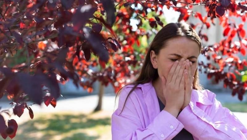 Alergiile de primăvară: Care este cel mai bun tratament pentru alergie