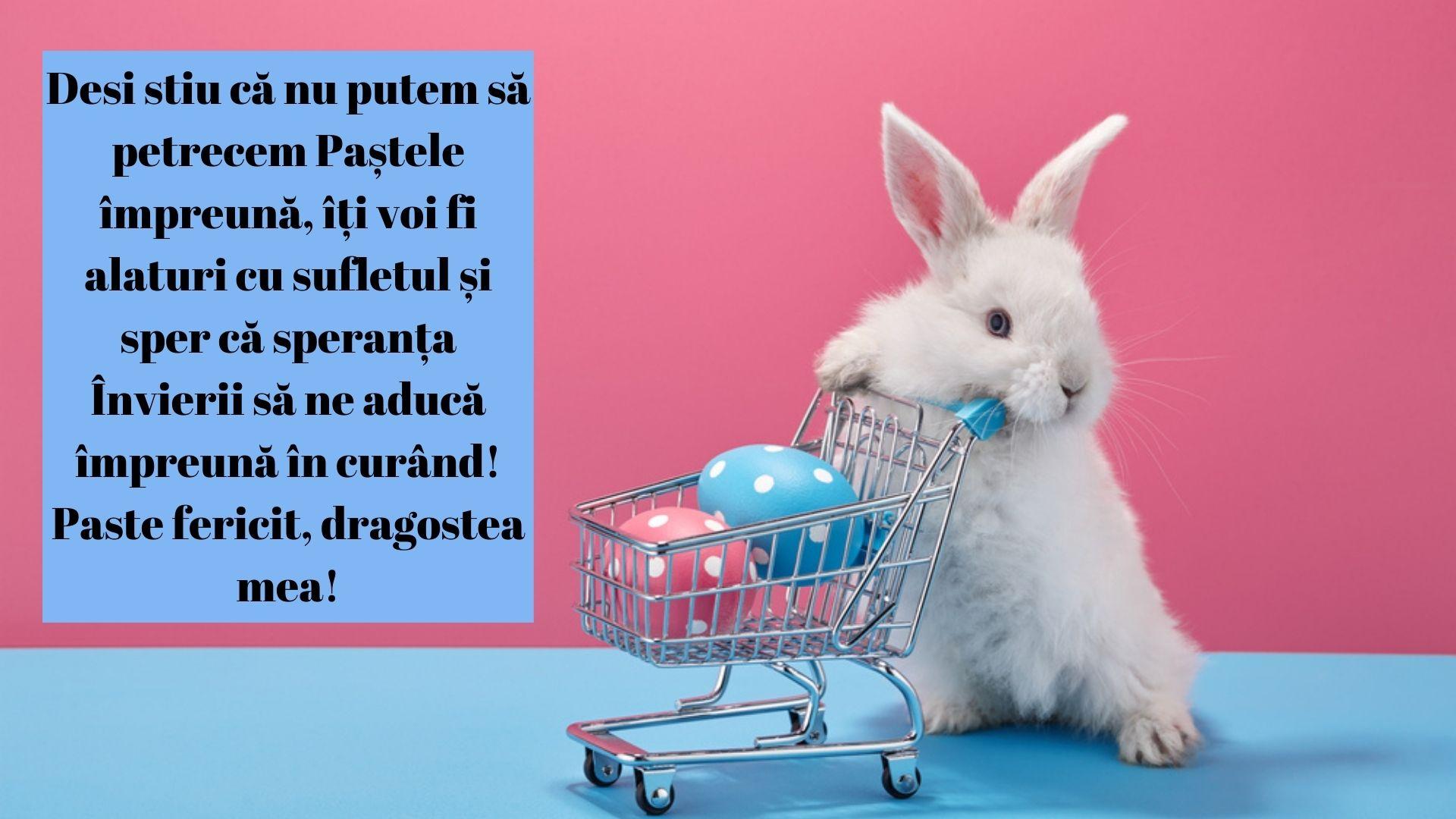 felicitare cu iepuras de paste ce are doua oua in cosul de cumparaturi