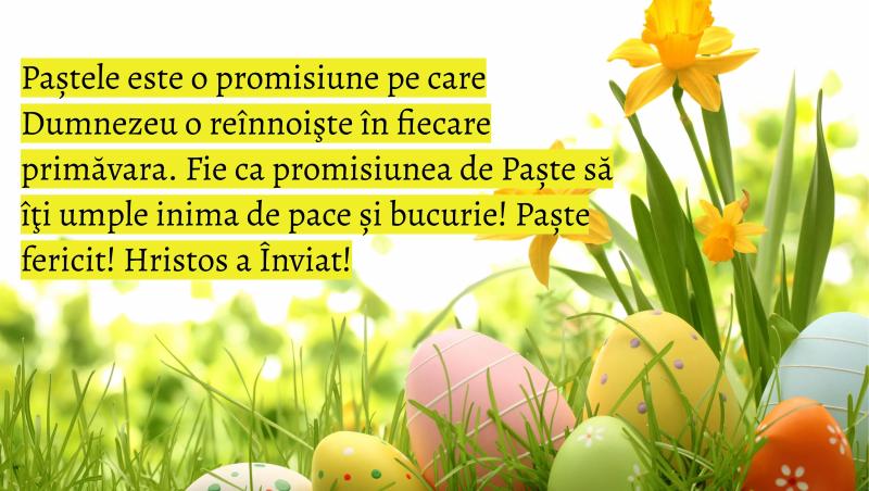 Pe 16 și 17 aprilie 2023, nu uita să le trimiți celor dragi felicitări cu textul ”Paște fericit”. Am realizat pentru tine 100 de felicitări cu ”Paște fericit” și ”Hristos a Înviat”, din care să alegi câte dorești pentru oamenii dragi sufletului tău.