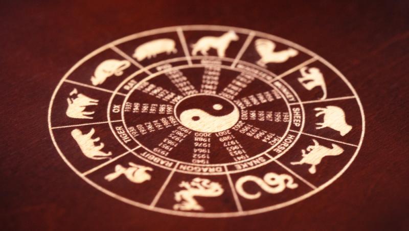cele 12 zodii din horoscopul chinezesc pe un fundal caramiziu