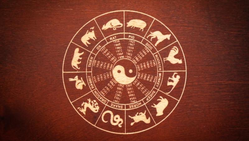 grafic cu anii si cele 12 animale din zodiacul chinezesc
