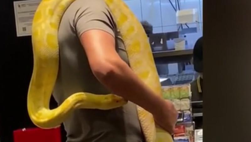 Un bărbat din România a intrat cu un şarpe uriaş la gât, într-un fast-food | Video. Cum a reacționat personalul