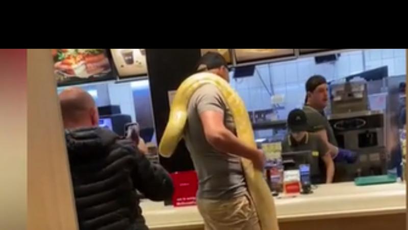 Un bărbat din România a intrat cu un şarpe uriaş la gât, într-un fast-food | Video. Cum a reacționat personalul