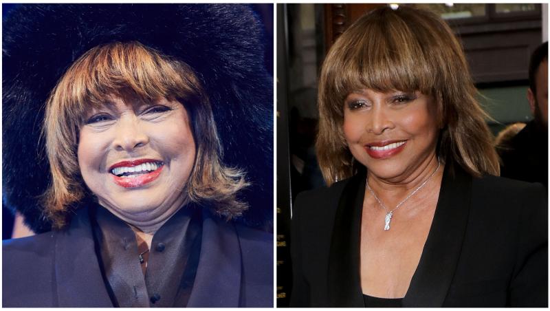 Colaj cu Tina Turner în două ipostaze diferite