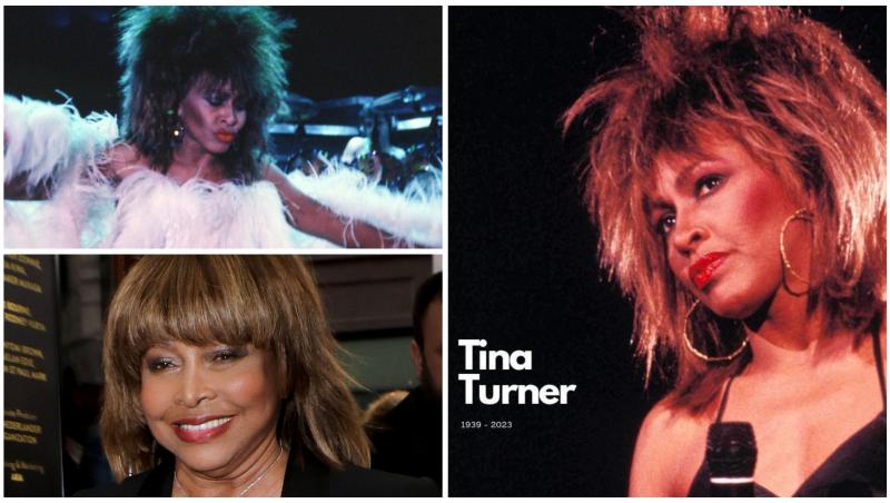 Colaj cu Tina Turner