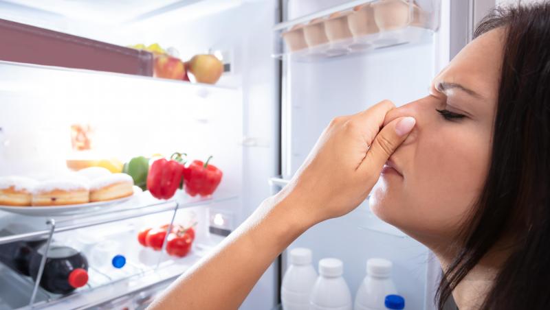 O femeie a descoperit în frigider un compartiment ascuns care provacă mirosul neplăcut. Unde se află acest “buzunar”