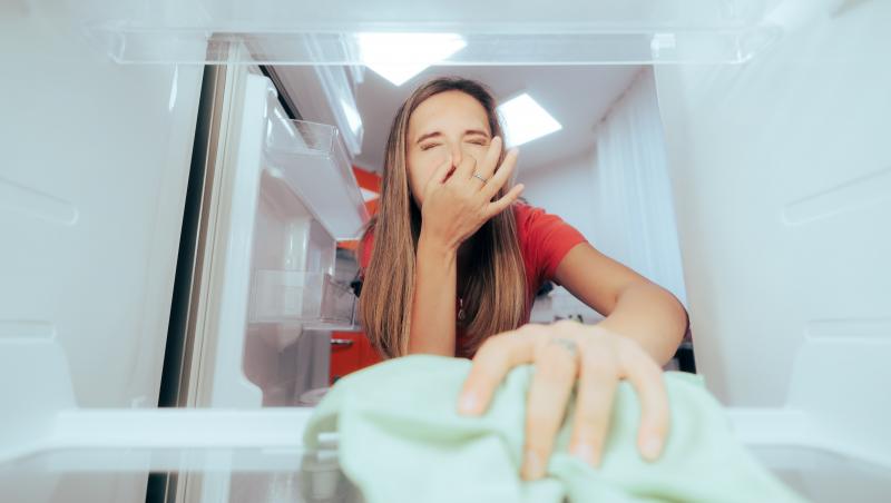 O femeie a descoperit în frigider un compartiment ascuns care provacă mirosul neplăcut. Unde se află acest “buzunar”