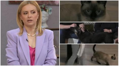 Simona Gherghe demontează știrile false despre Mireasa. Ce spune prezentatoarea despre animalele din casă