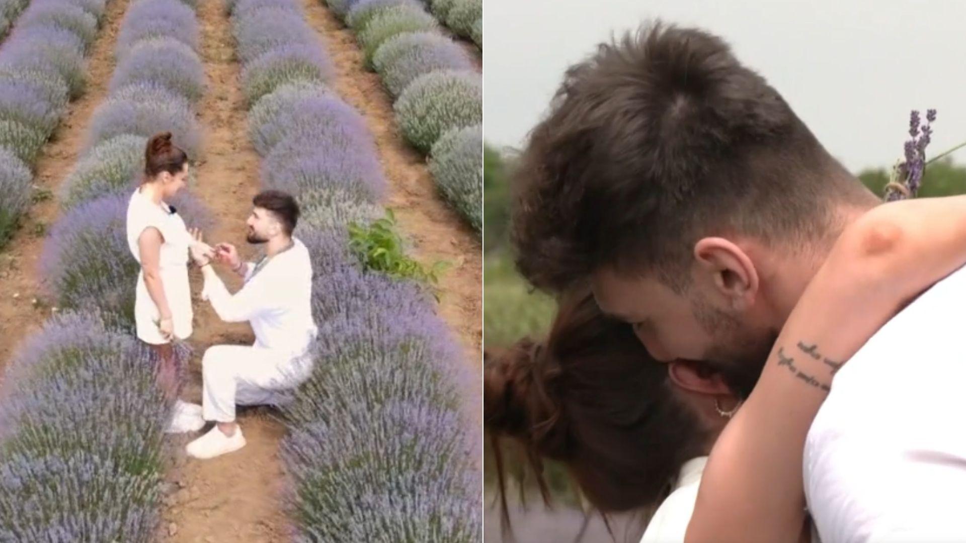 colaj de imagini cu cererea mariei si antonio in lanul de lavanda