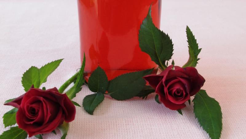 Rețeta de sirop de trandafiri fără fierbere. Cum să obții o băutură parfumată și concentrată fără să consumi gaze