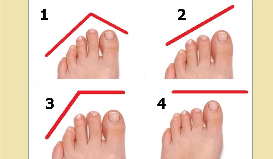imagine cu patru tipuri diferite de degete de la picioare