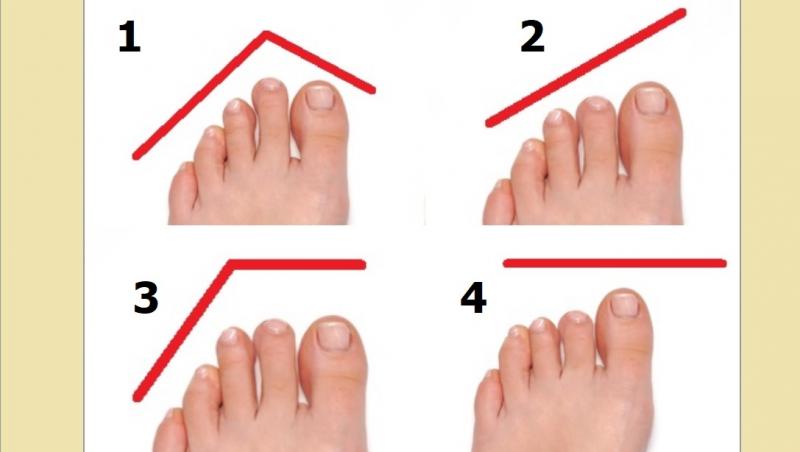 imagine cu patru tipuri diferite de degete de la picioare