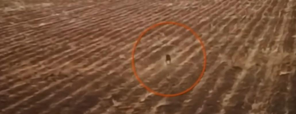 Creatura misterioasă cu blană care a făcut prăpăd într-un sat | VIDEO. Ce este fiara care a speriat localnicii și a mâncat animale