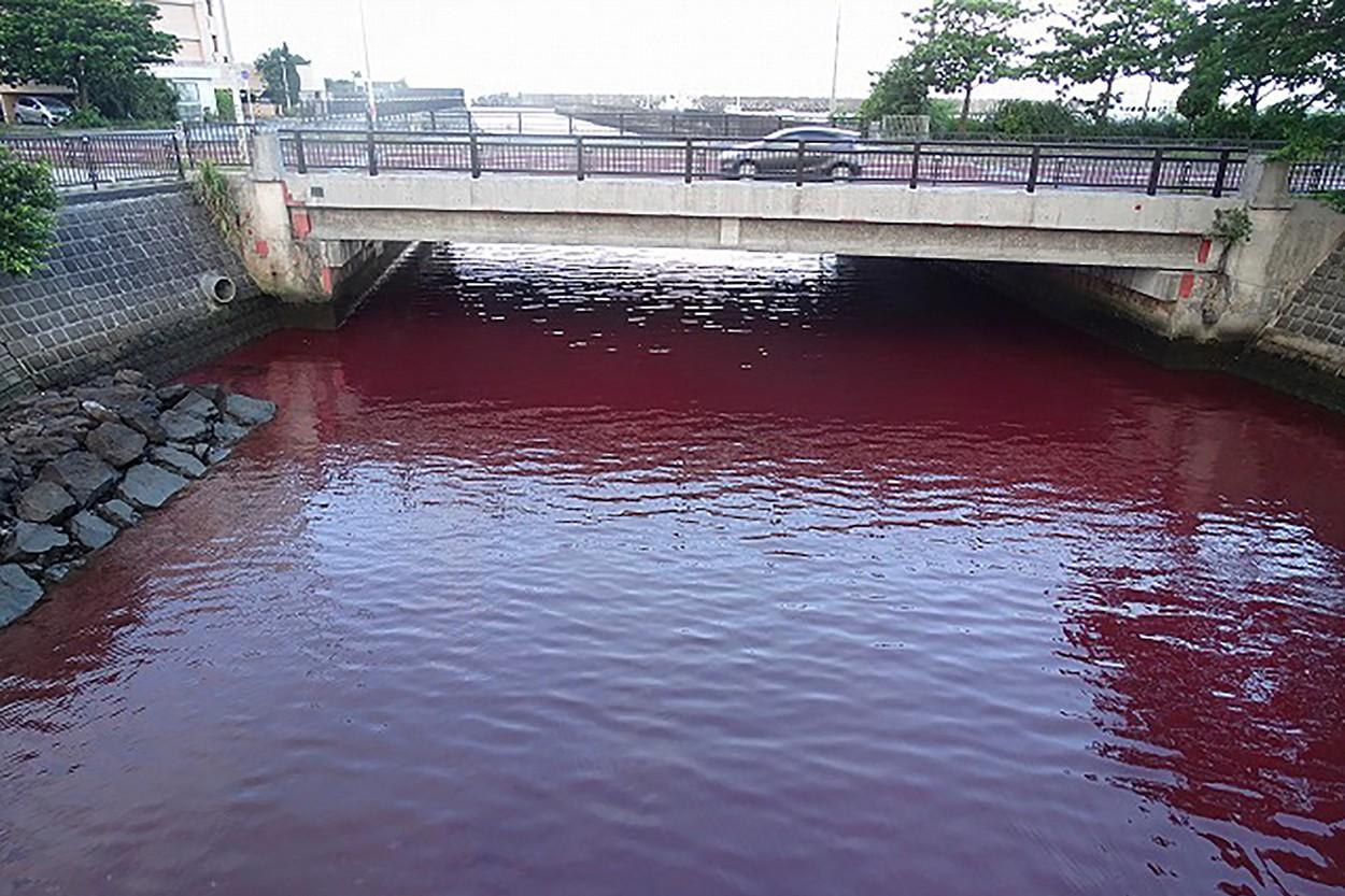 Un „râu sângeriu” i-a îngrijorat pe mai mulți localnici. Ce au transmis autoritățile